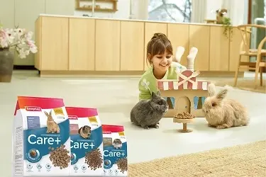 Beaphar Care+